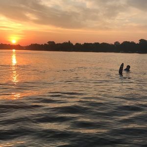 Meet your Posher, Max